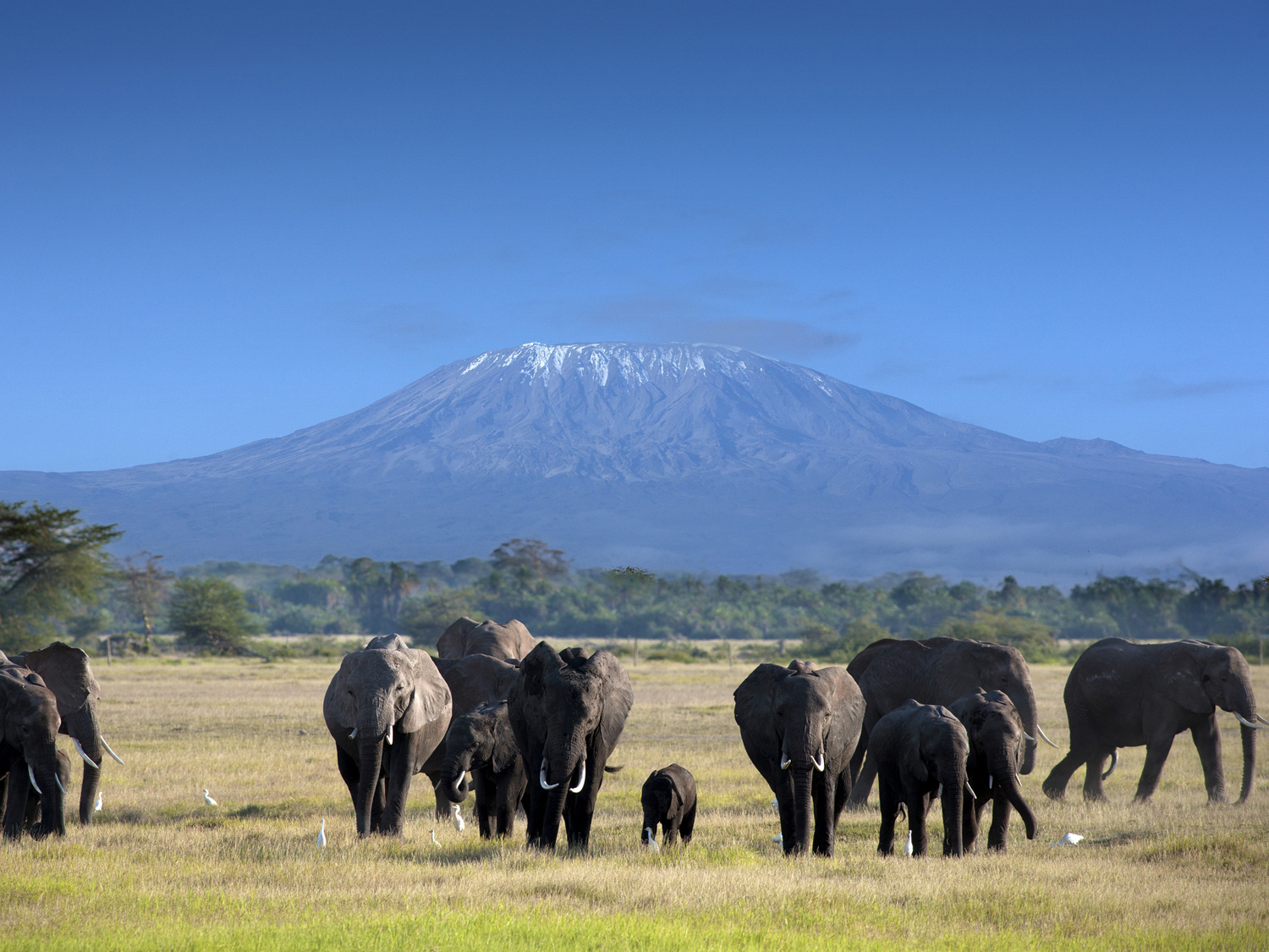 Amboseli National Park